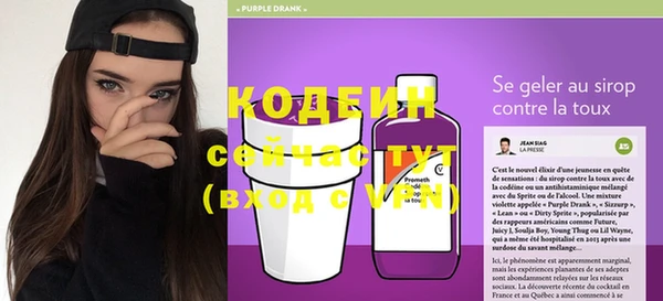 мдпв Вяземский