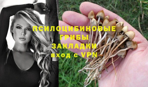 мдпв Вяземский