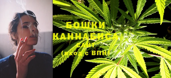 мдпв Вяземский
