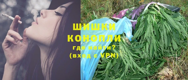 шишки Вязьма
