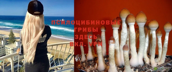 шишки Вязьма