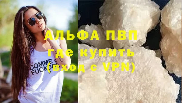 шишки Вязьма