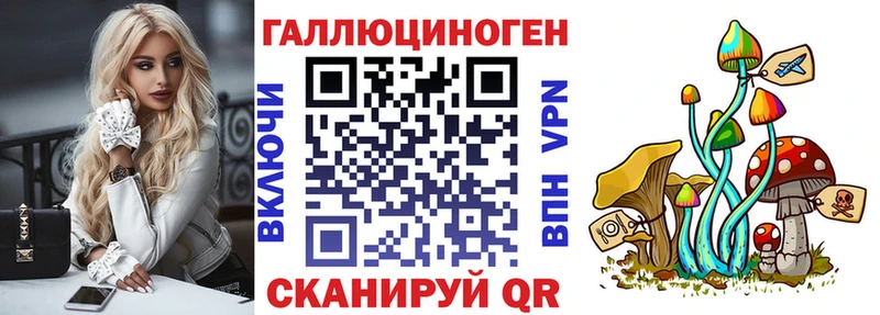 купить наркотики цена  Димитровград  Галлюциногенные грибы Psilocybe 